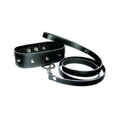 Leather Metal Studded Collar and Leash Set