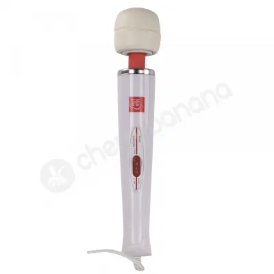 Adam Eve Magic Massager Vibrator