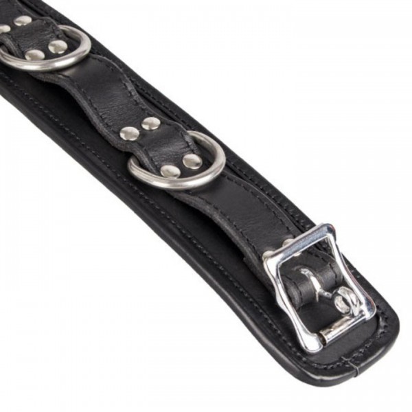 Bondara Luxe Saddle Leather Heavy Duty Padded Collar — image 4 of 6