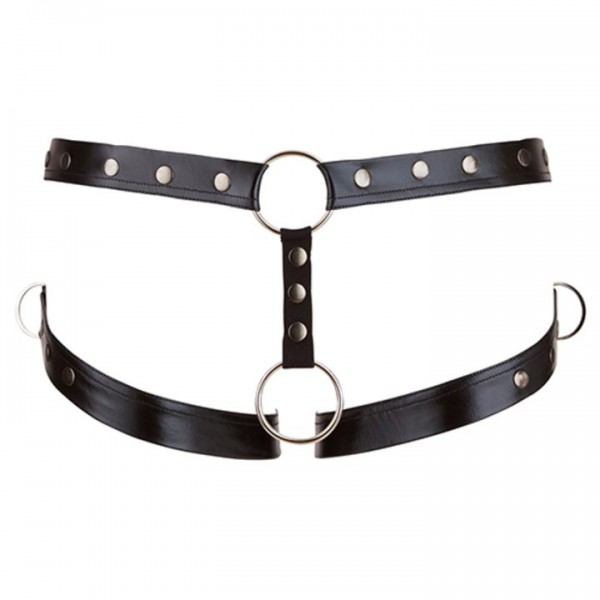 Svenjoyment Wet Look Cock Ring Harness