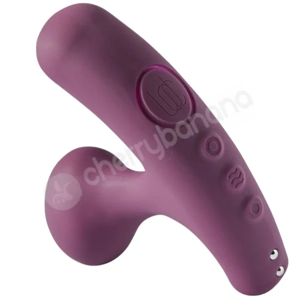 Lora Dicarlo Tilt Purple Versatile Vibrating & Warming Plug Vibrator