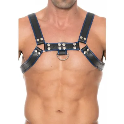 Chest Bulldog Harness