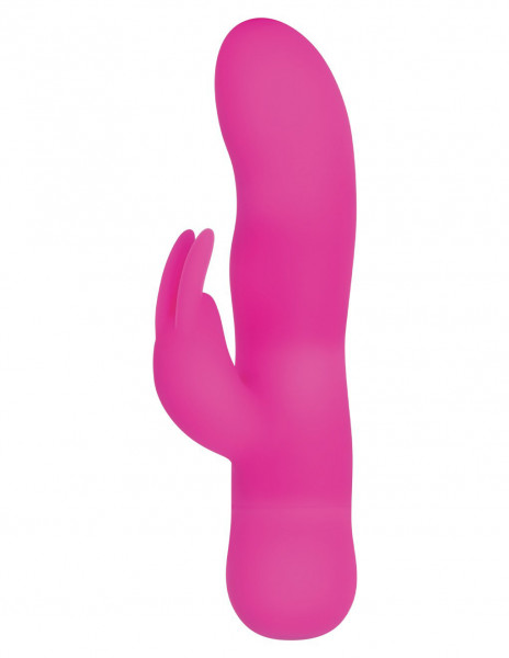 Evolved Sugar Bunny