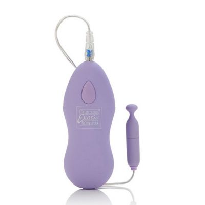 Dr Laura Berman s Mimi Vibrating Micro Bullet Purple