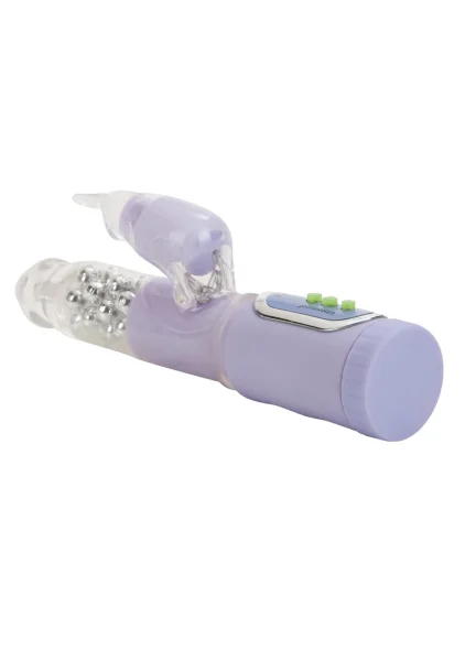 First time jack rabbit