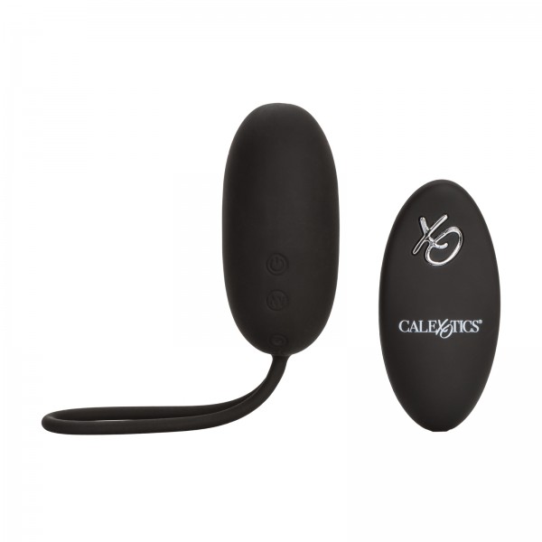 Remote Egg Vibrator