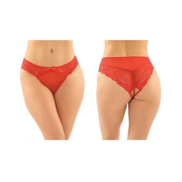 Cassia Crotchless Lace And Mesh Panty 6-pack S/m Red