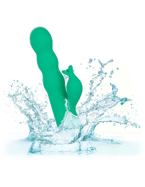 California Dreaming Sonoma Satisfier