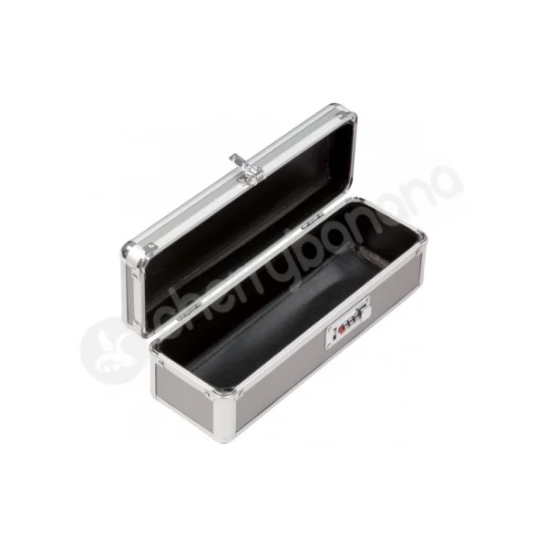 Lockable Medium Sex Toy Chest Box Silver