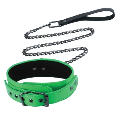 Electra Collar amp Leash in Green