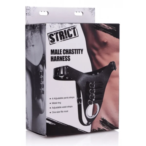 Strict Male Chastity Harness