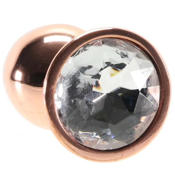 Rear Assets Rose Gold Small Clear