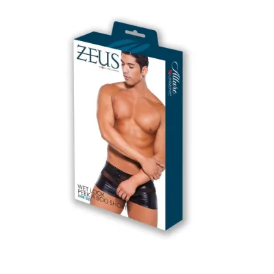 Allure Lingerie Zeus Wet Look Peek a Boo Shorts One Size
