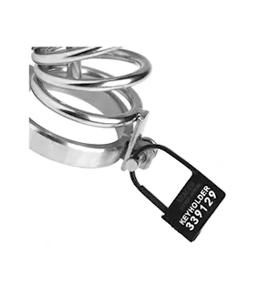 Keyholder 10 Pack Numbered Plastic Chastity Locks — image 14 of 15