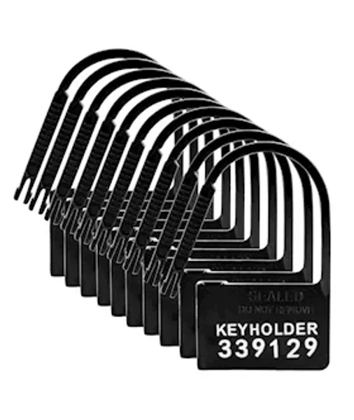 Keyholder 10 Pack Numbered Plastic Chastity Locks — image 12 of 15
