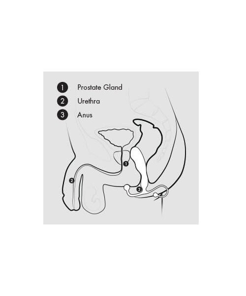 Aneros Eupho Trident Prostate Massager
