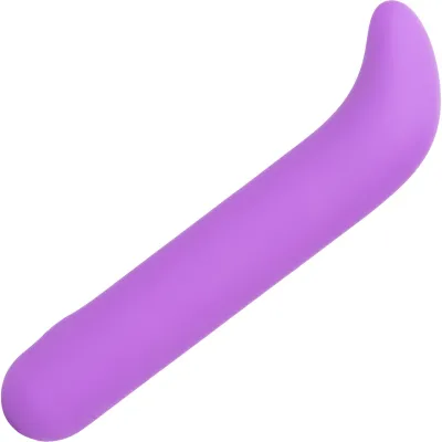 Bliss Liquid Silicone Mini G Vibe Rechargeable Waterproof G Spot Vibrator Purple