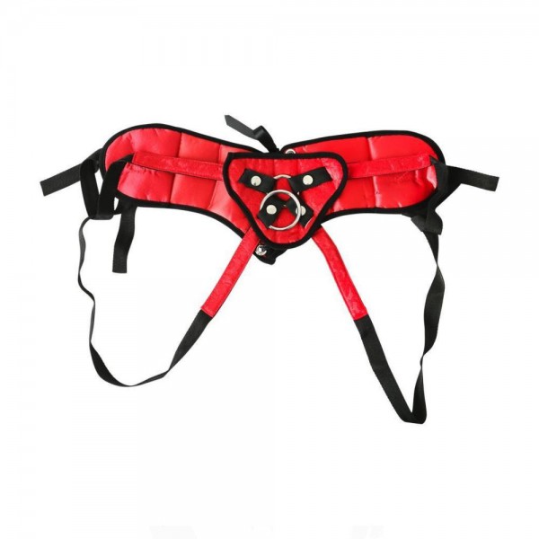 Plus Size Red Corsette Harness