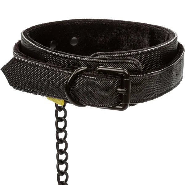 Boundless Collar and Leash