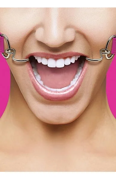 Ouch Hook Gag with Leather Straps O/S