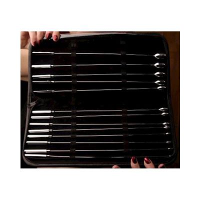 13 Piece Rosebud Sounds Kit Silver