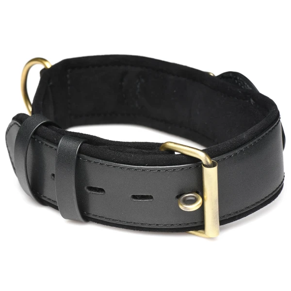 Tracer Tracking Collar