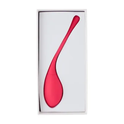 Eyden Vibrating Kegel Egg 7 6 Inch