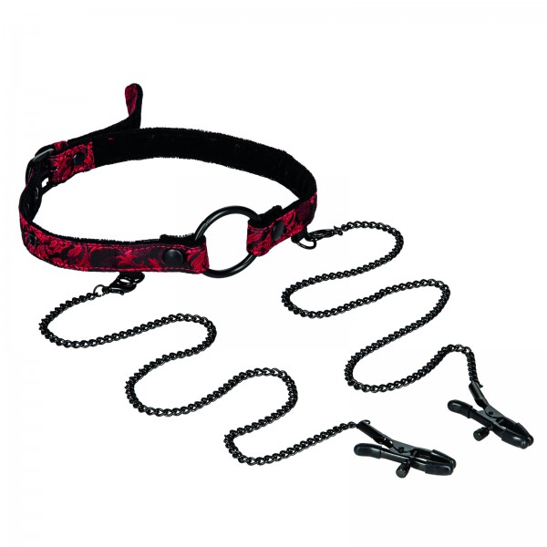 Open Mouth Gag With Clamps Kit