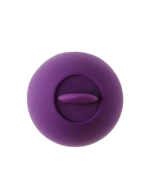 Share Satisfaction Dana Clitoral Stimulator - Purple - 2.9 Inch