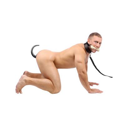 Intro To Puppy Play 3 Piece Starter Kit Black