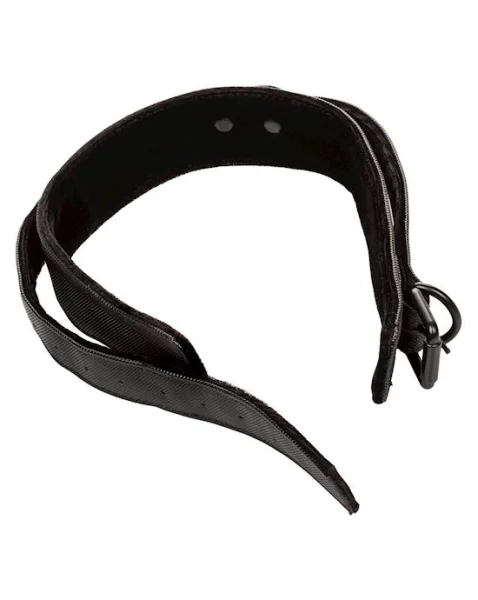 Boundless Collar and Leash