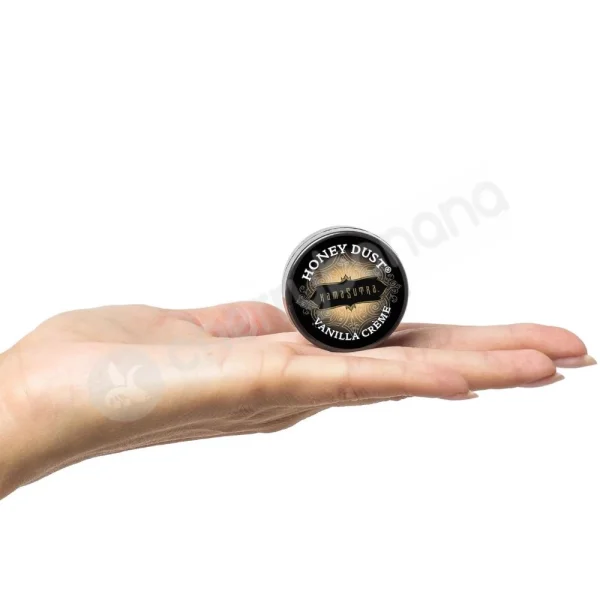 Kama Sutra The Getaway Kit Romanic Travel Set