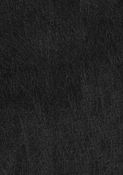 Shadow Sparkle Collar & Cuff Set