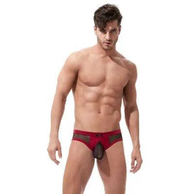 Gregg Homme X Rated Maximizer Mesh Brief