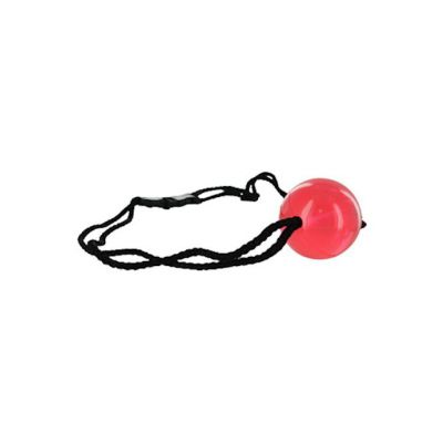 Apprentice Ball Gag Red