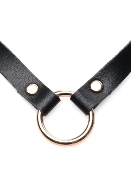 Posh Pet Gold Ring Slim Choker