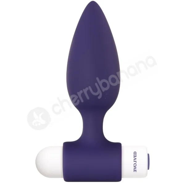 Evolved Dynamic Duo Blue 2 Sized Butt Plugs With Interchangeable Bullet Vibe