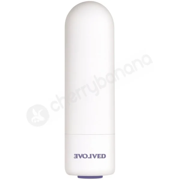 Evolved Dynamic Duo Blue 2 Sized Butt Plugs With Interchangeable Bullet Vibe