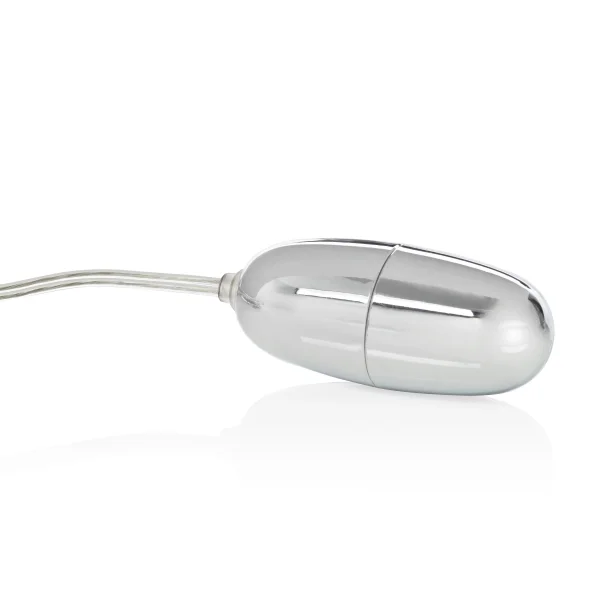 Sterling Collection Combo Pack Silver Bullet With  2-Speed Controller — image 8 of 11