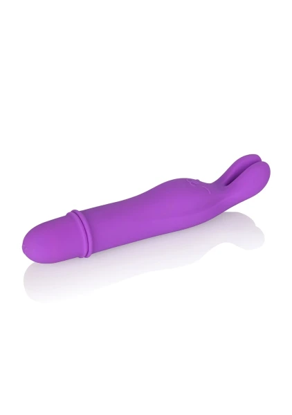 Shane’s World Bedtime Bunny