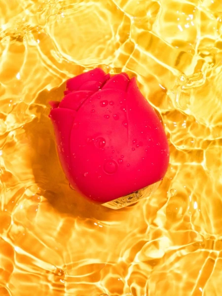 Lovehoney Plus Size Rose Unwrap Me Bundle