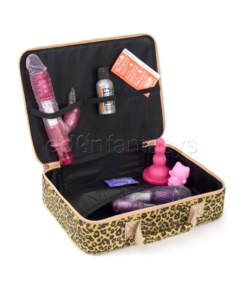 For your nymphomation sex toy case