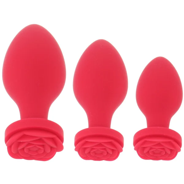 Secret Kisses Rosegasm Butt Bouquet Silicone Plugs Training Set