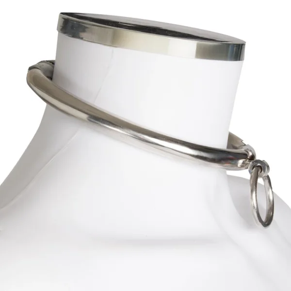 Bondara Luxe Stainless Steel Combination Lock Collar — image 5 of 5