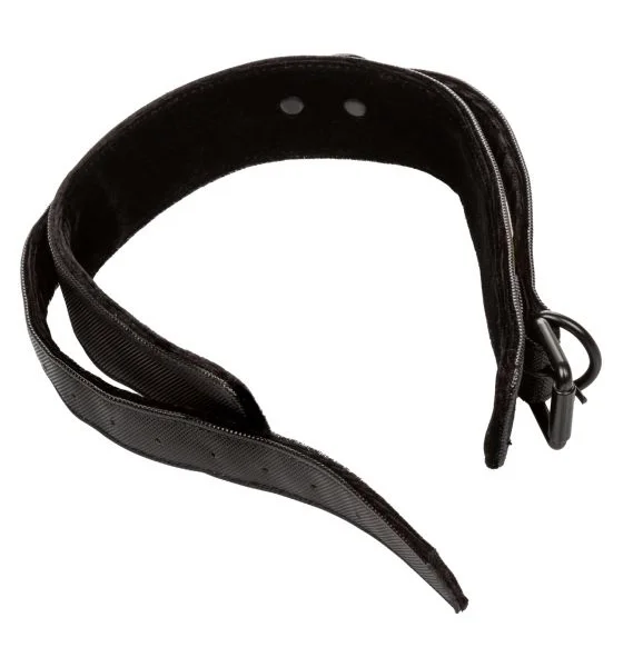 Boundless Collar and Leash