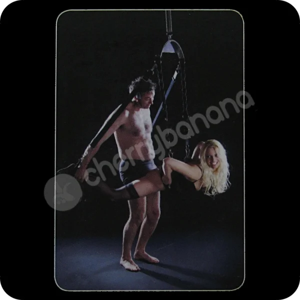 Ouch Deluxe Luxury Sex Swing