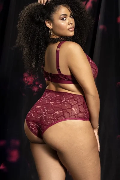 Shine On Burgundy Floral Lace & Mesh Bra with High-Waist Panty By Mapale by Espiral