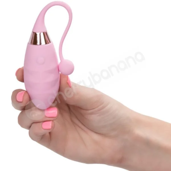 Jopen Amour Silicone Egg Bullet Vibe With Heart Shaped Remote Control
