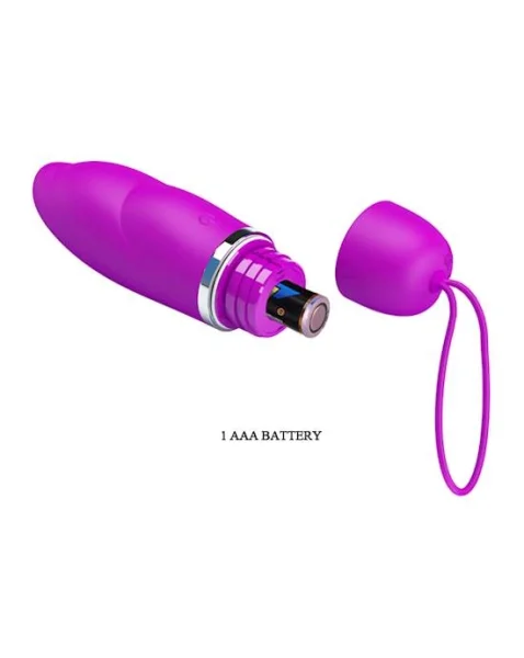 Purple Desire Kit Vibrator Kit