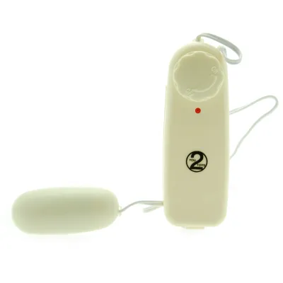 Secret Service Vibrating Pleasure Bullet 2 x AA